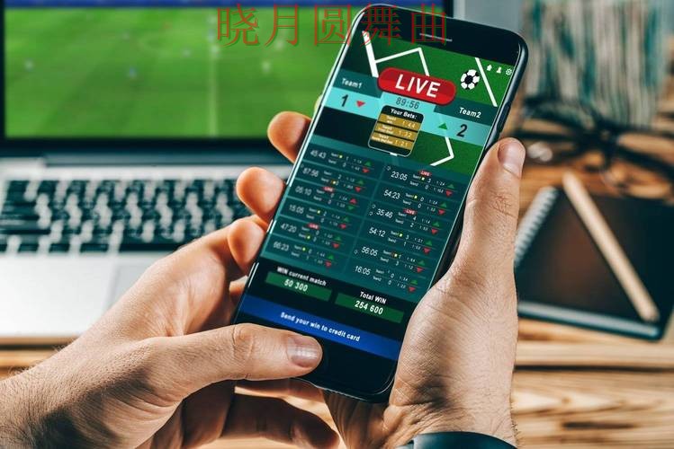 世界杯投注平台合集实测对比报告：数据分析+直播与实际体验总结 - 世界杯高清直播